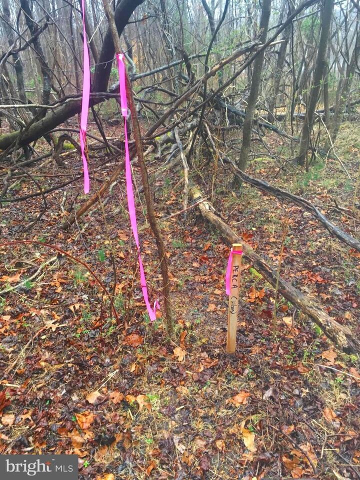 Property Photo:  1750 Joe Harris Road  MD 20678 