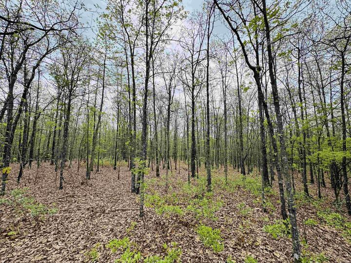 Property Photo: 113 Allen Drive AR 72173