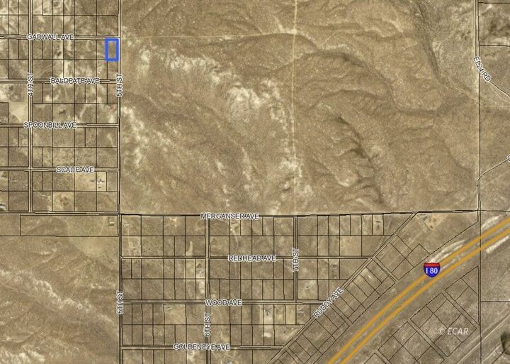 Property Photo:  5th & Gadwall Ave Apn#019-009-001  NV 89823 