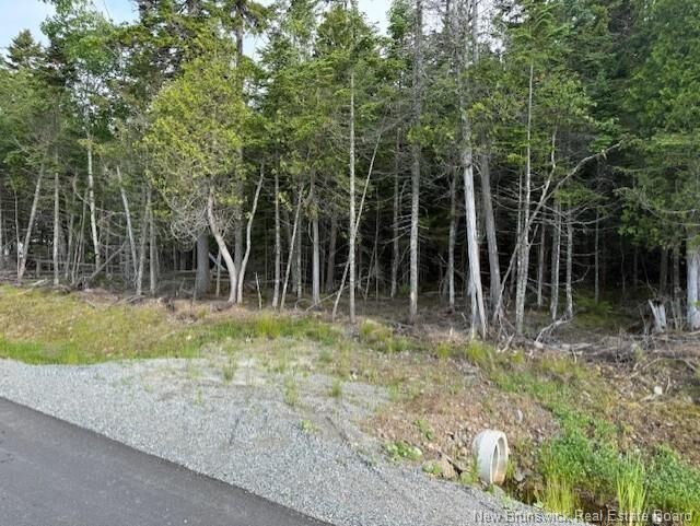 Property Photo:  33 Alpenglow Drive  NB E2G 0M4 
