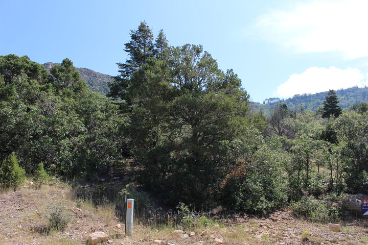 Property Photo:  2289 S High Mountain View Dr  UT 84720 