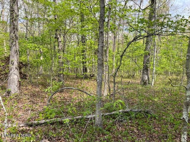 Property Photo: 8921 Cherokee Tr TN 38572