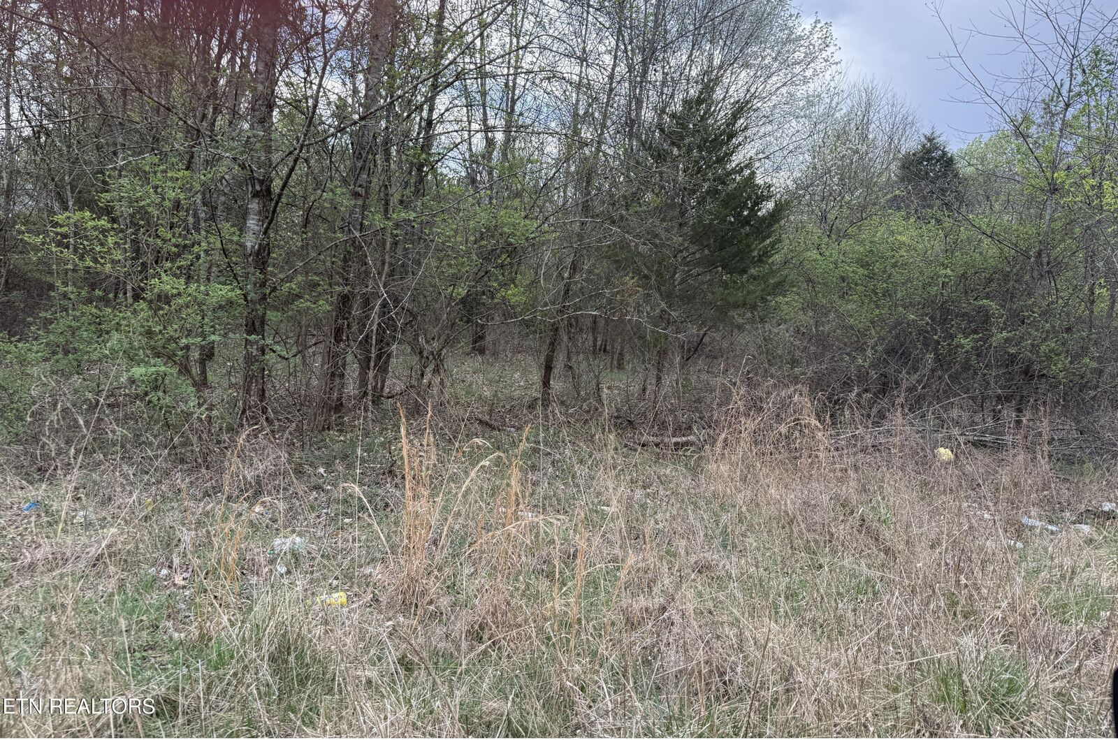 Property Photo:  144 Foxwood Drive Lot 5  TN 37763 