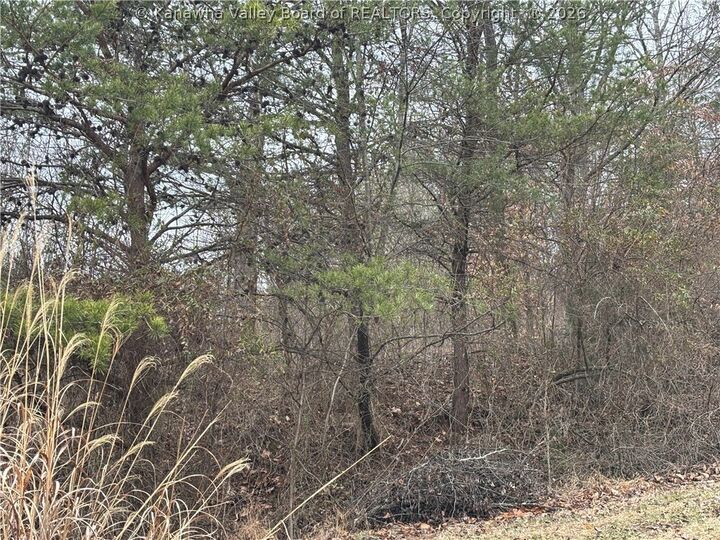 Property Photo:  0 A Stones Throw 21  WV 25177 