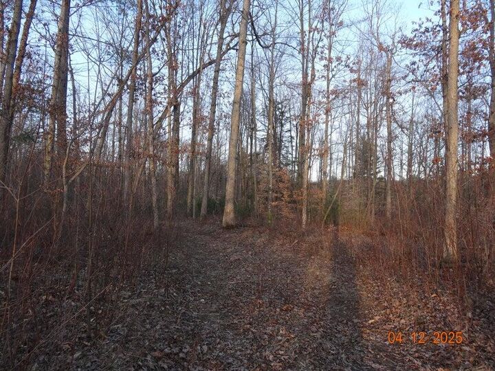 Property Photo:  518 S Oak Avenue  MI 49349 