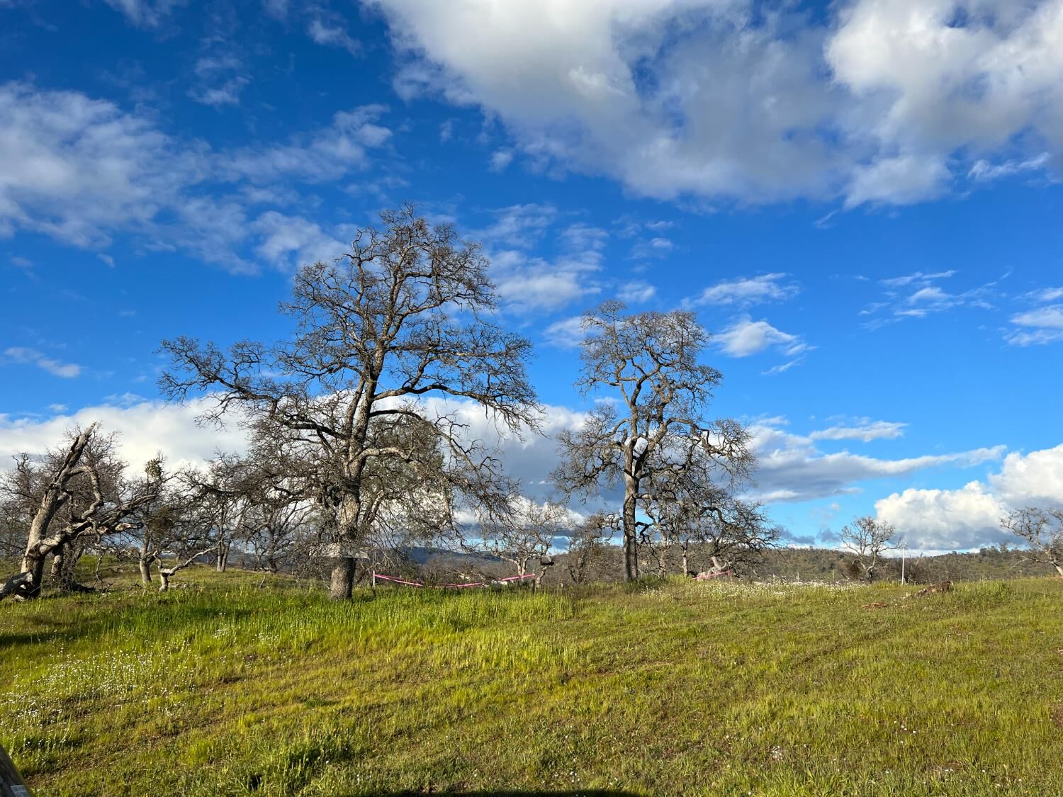 Property Photo: 2211 Buena Vista Drive CA 95329