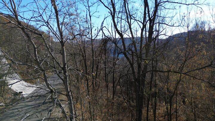 Property Photo:  85 Blackberry Ridge Way  TN 37166 