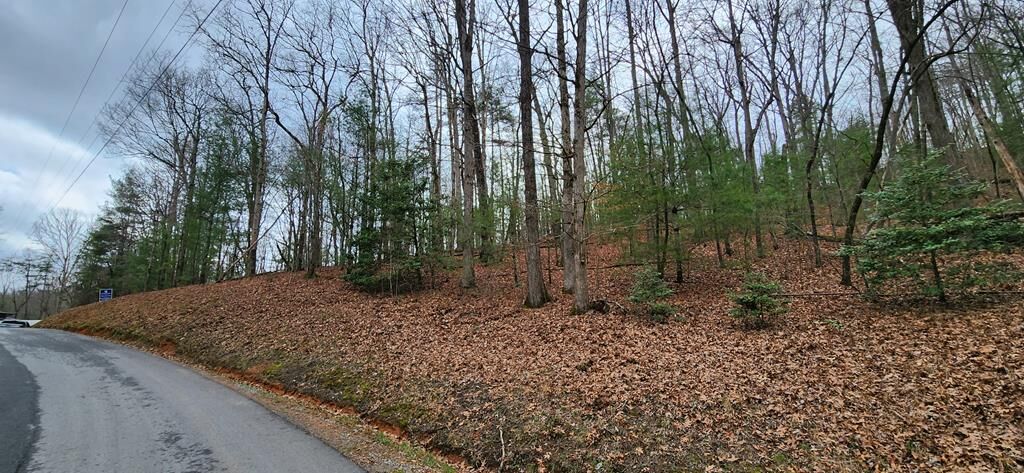 Property Photo: Lot 13 Mangums Trail GA 30513