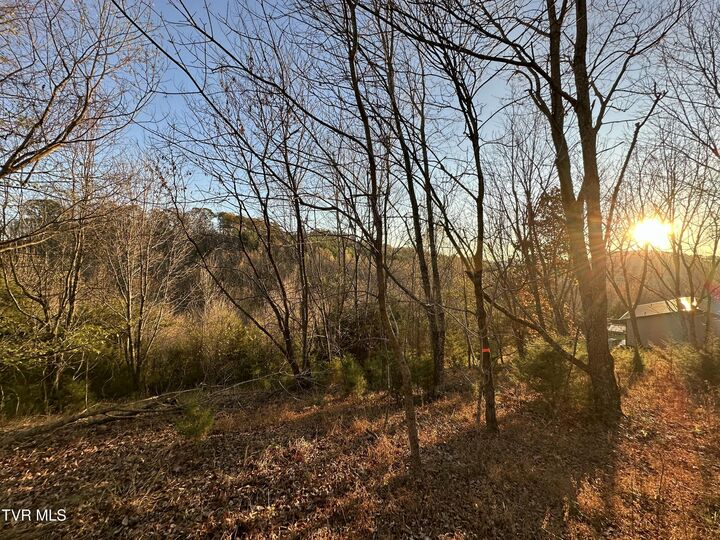 Property Photo: Tr 3 Charles Johnson Road TN 37641