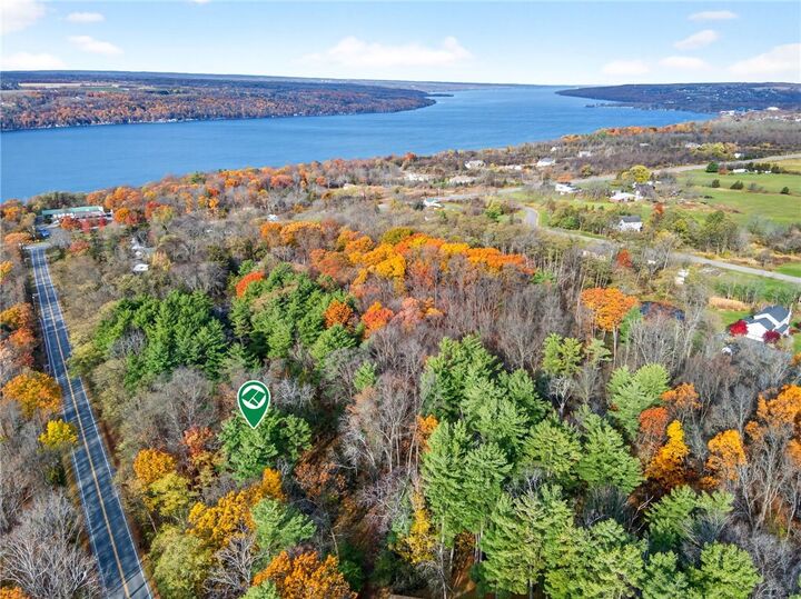 Property Photo:  00 Burdick Hill Road  NY 14850 