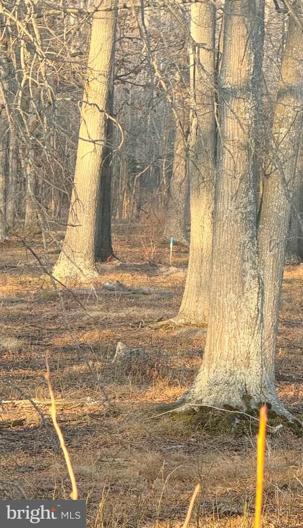 Property Photo:  412 Indian Head Hwy  MD 20640 