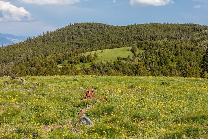 Property Photo:  10 Tract, Garnet Range  MT 59832 