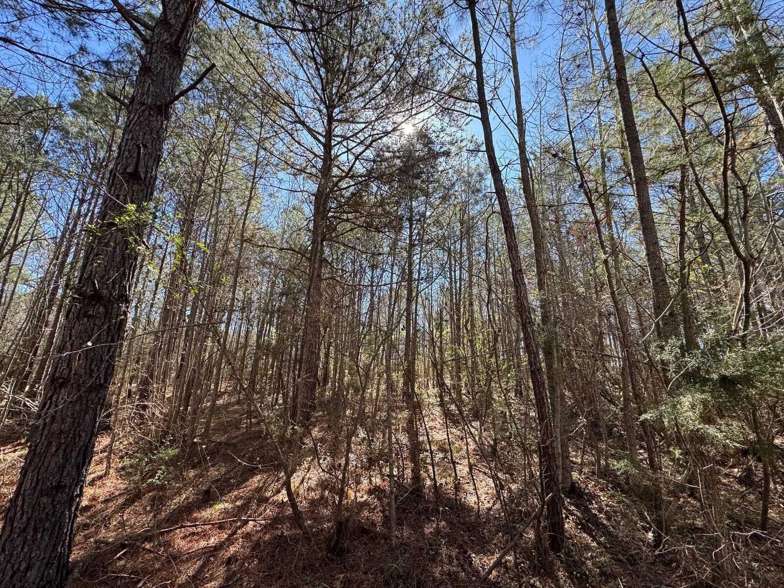 Property Photo:  0000 Farm To Market 1399  TX 75563 