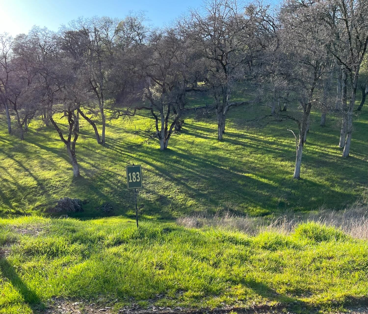 Property Photo: 23272 Darkhorse Drive CA 95602