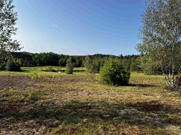 5 Acres Park Falls Road — photo 1