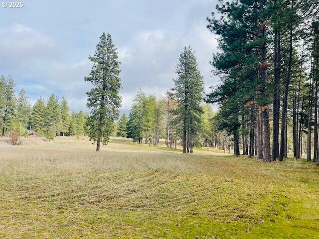 Property Photo:  Orchard Heights Rd Lot 1  WA 98620 