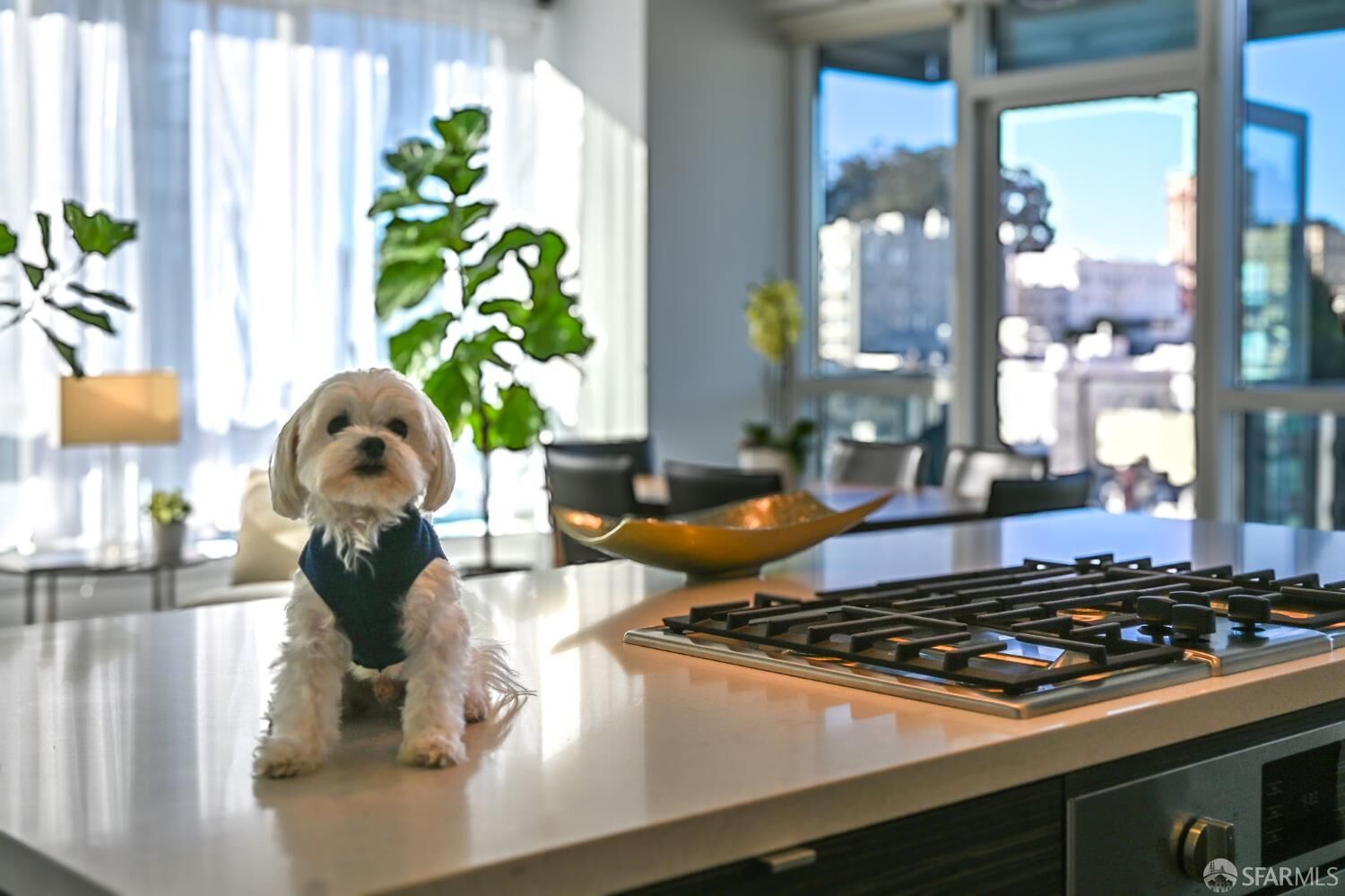 Property Photo: 1688 Pine Street E1211 CA 94109