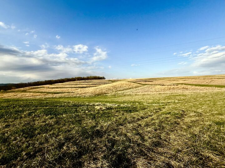 Property Photo:  40 Acres 305th  Street  IA 51551 