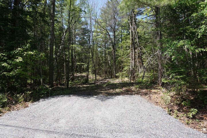 Property Photo:  Lot 1 Fairy Falls Road NW  ON P0B 1A0 