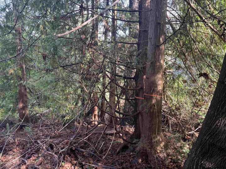 Property Photo:  Lot 39 Sandy Hook Road  BC V0N 3A7 