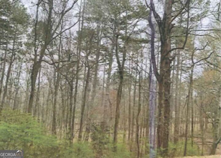 Property Photo:  0 Gainesville Highway  GA 30680 