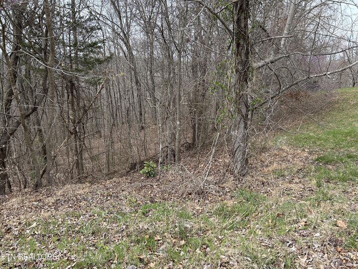Property Photo:  Lot 260-A Marble Point Way  TN 37825 