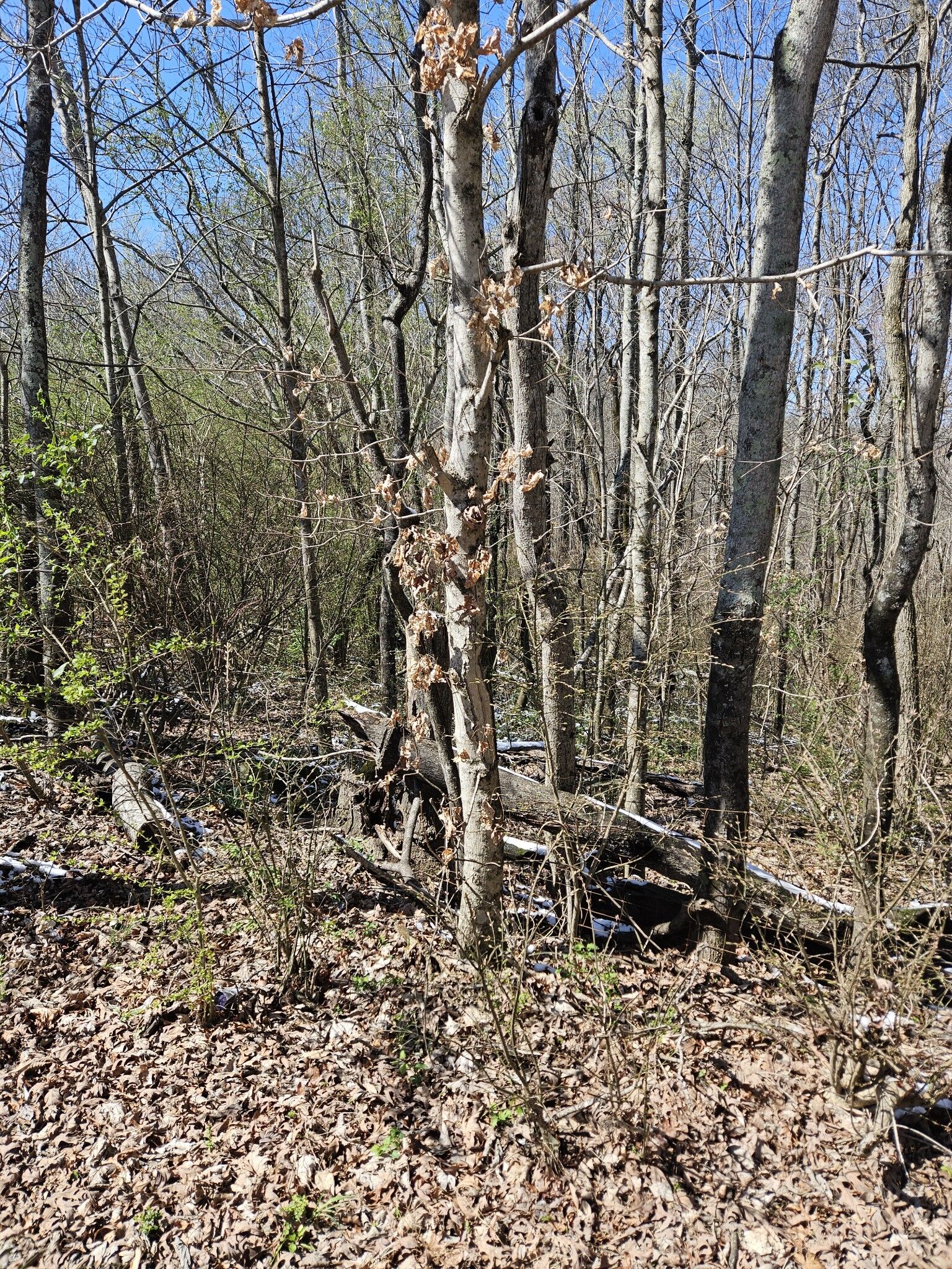 Property Photo:  0 Lakeview Dr  TN 37166 