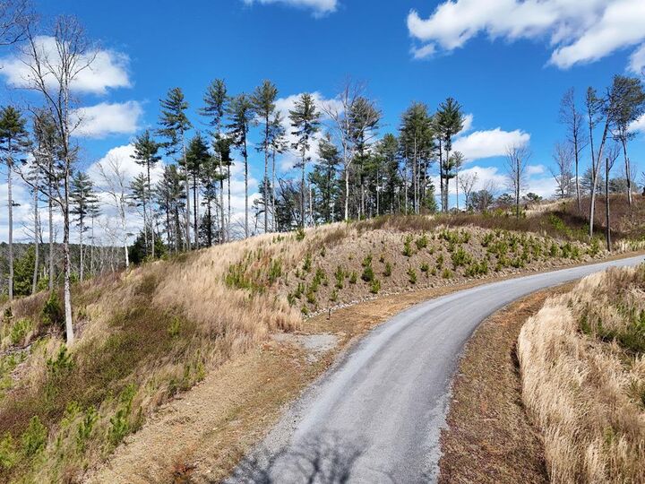 Property Photo: Lot 253 High River Crossing GA 30540