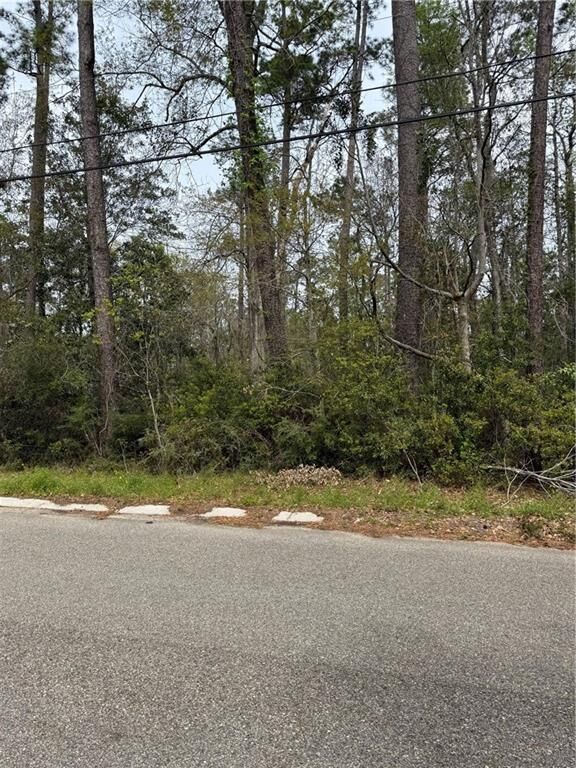 Property Photo: Erindale Drive LA 70445