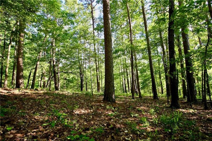 Property Photo:  000 Cr 108  AR 72632 