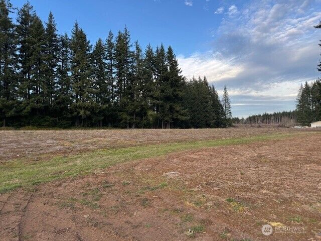 Property Photo:  0 Lot 1  Frogner Road  WA 98532 