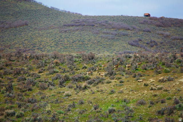 Property Photo: Unknown UT 84061