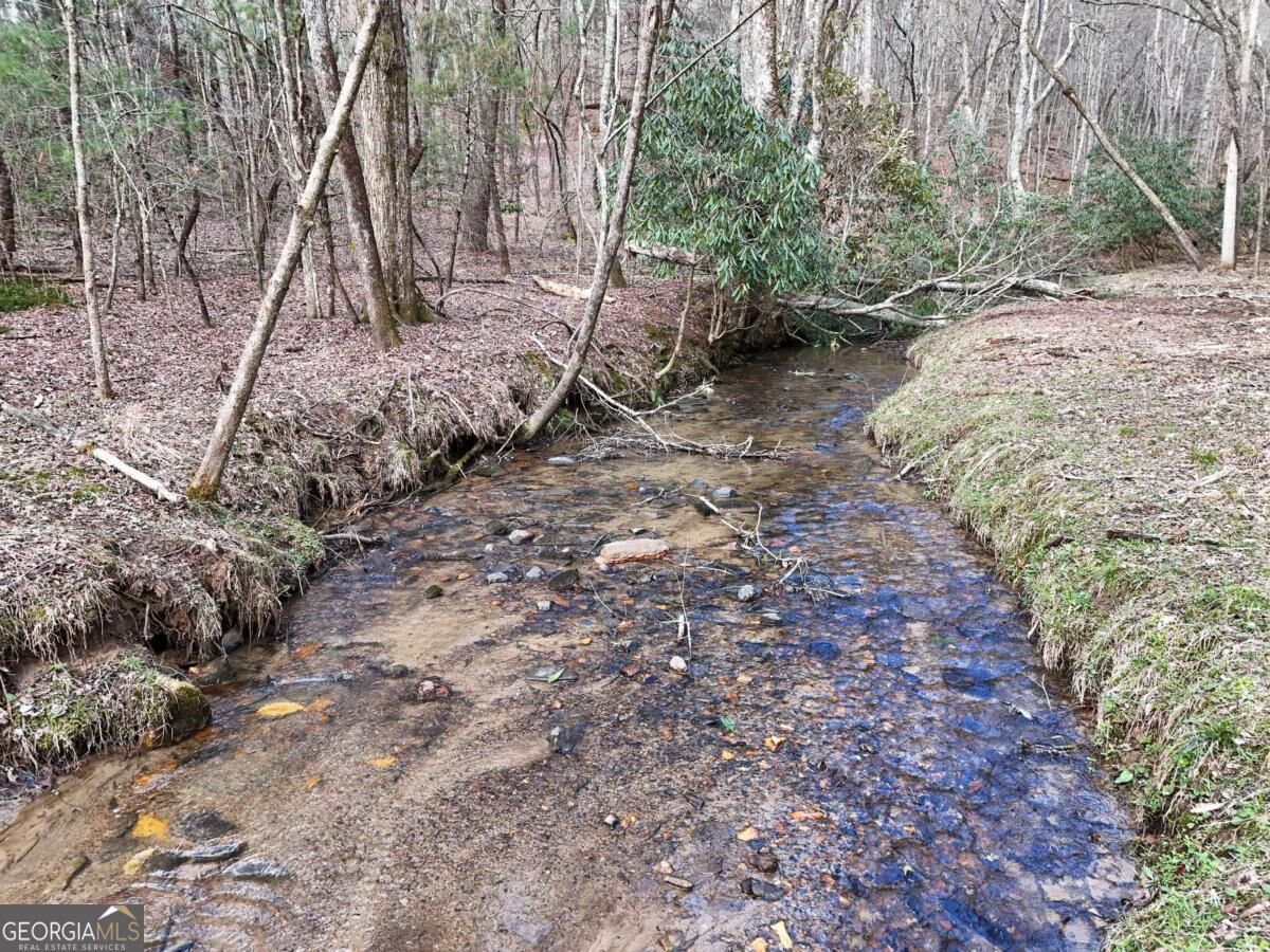 Property Photo:  Lot 45B Synacia Drive  GA 30559 