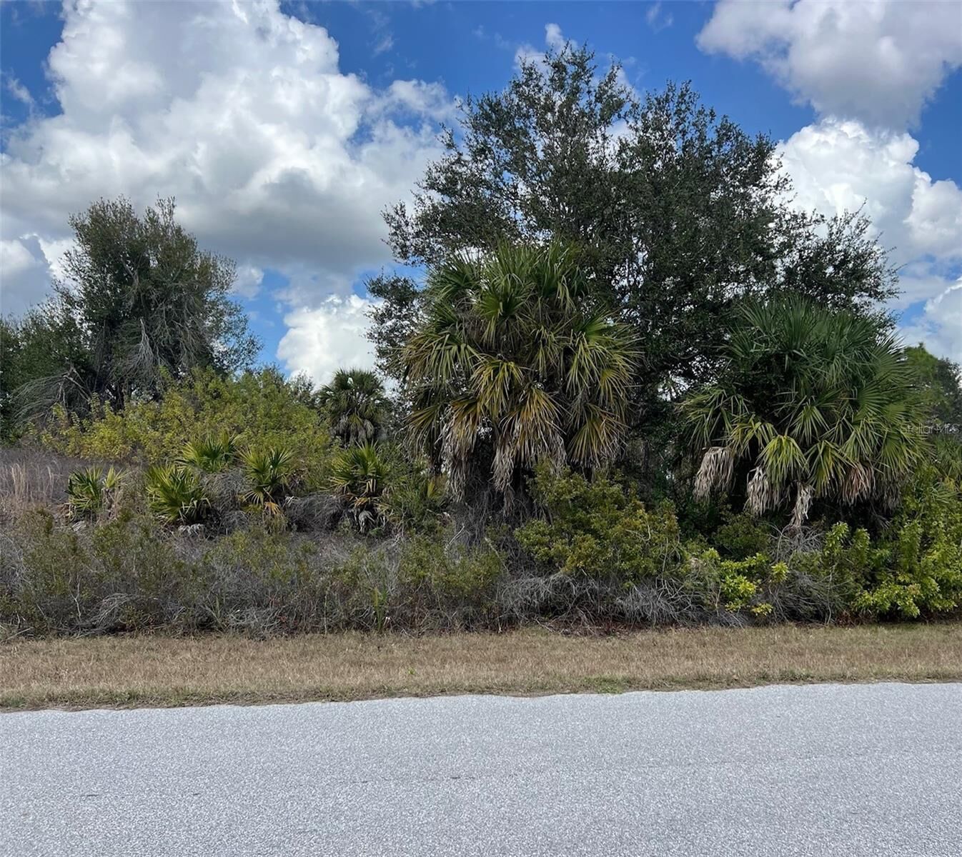 Property Photo:  14202 Howard Avenue  FL 33953 
