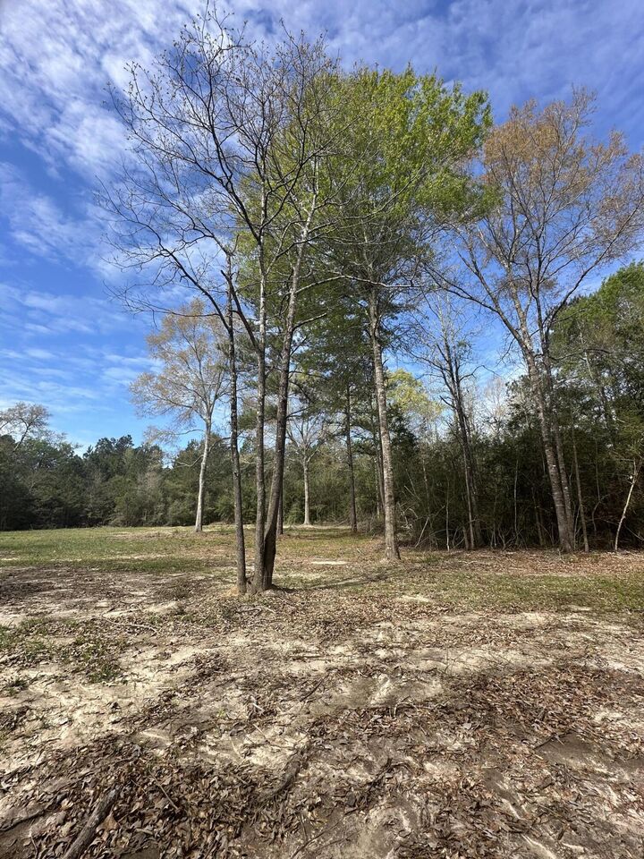 Property Photo:  Stamps Rd  LA 70653 