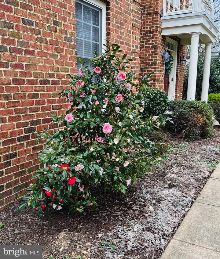 Property Photo:  7119 Coventry Road  VA 22306 