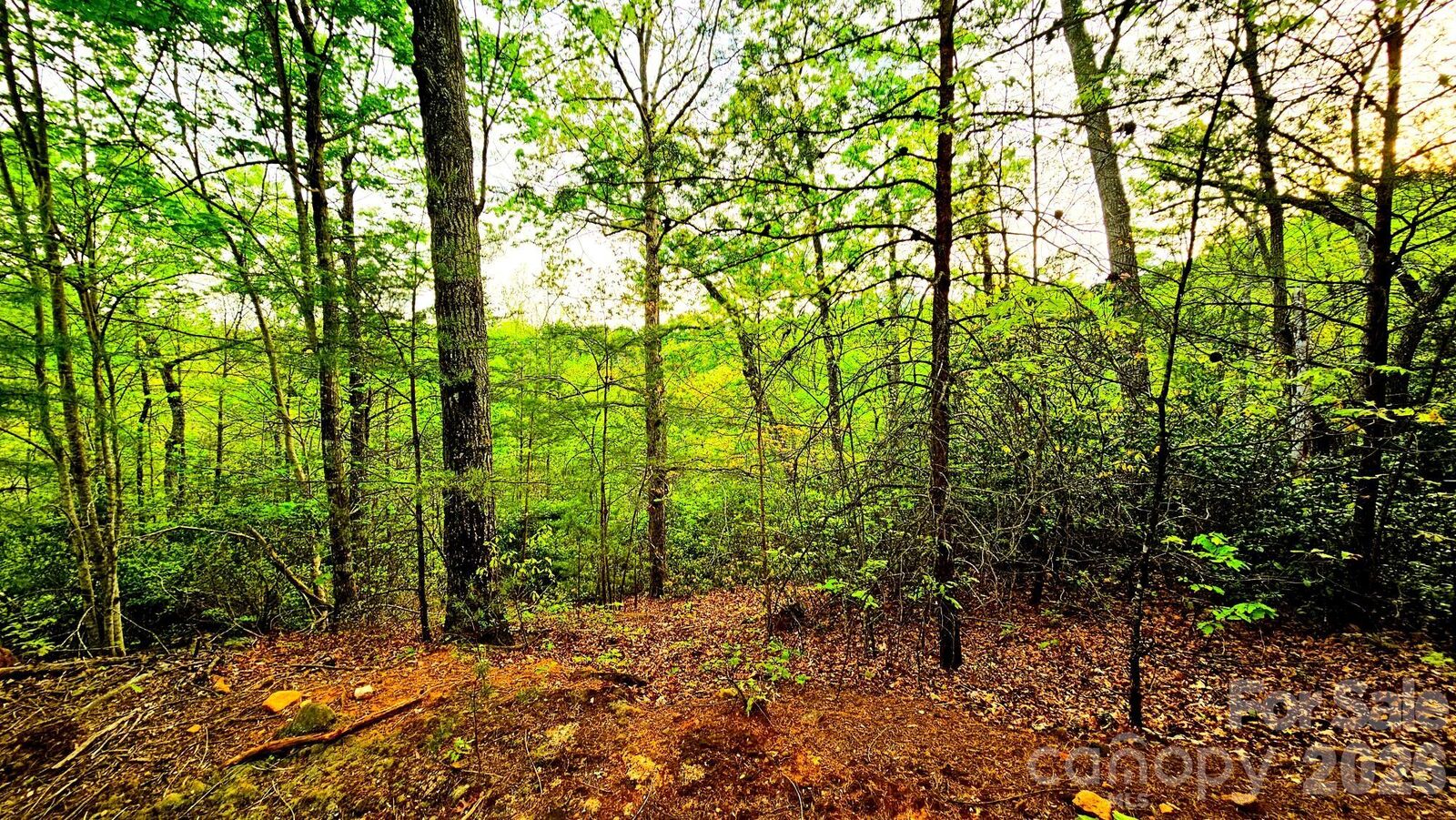 Property Photo: Lot 59 Bear Cliff Way NC 28746