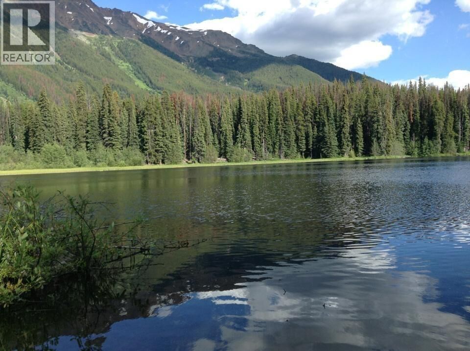 Property Photo: Dl 5374 Mead Lake BC V0K 1P0