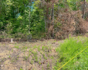 Property Photo:  Lot 6 Block E Unit 3 Parrott Drive  KY 42501 