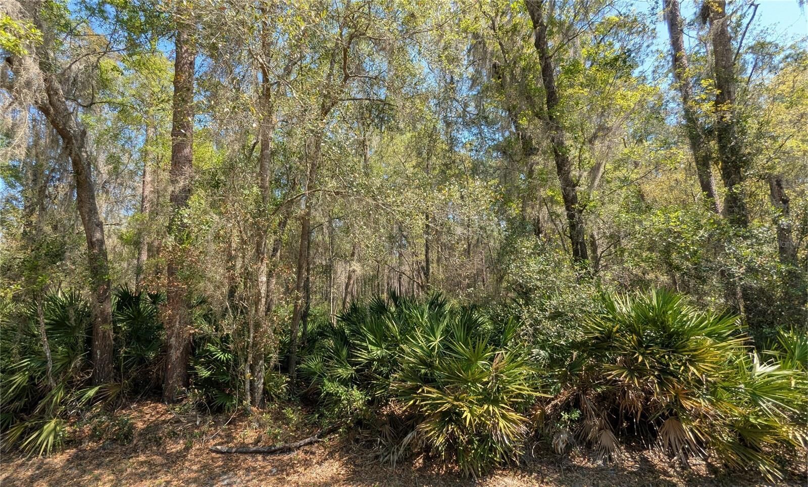 Property Photo:  Tbd NE County Road 234  FL 32641 