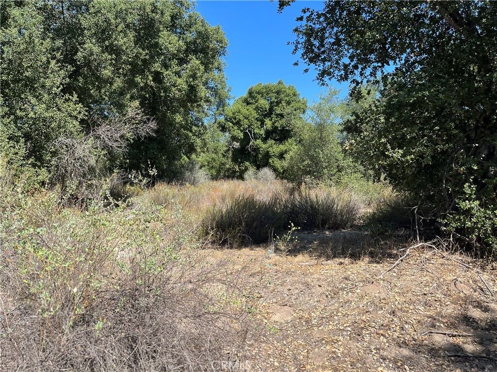 Property Photo: 35010 Willow Creek Rd. CA 92544