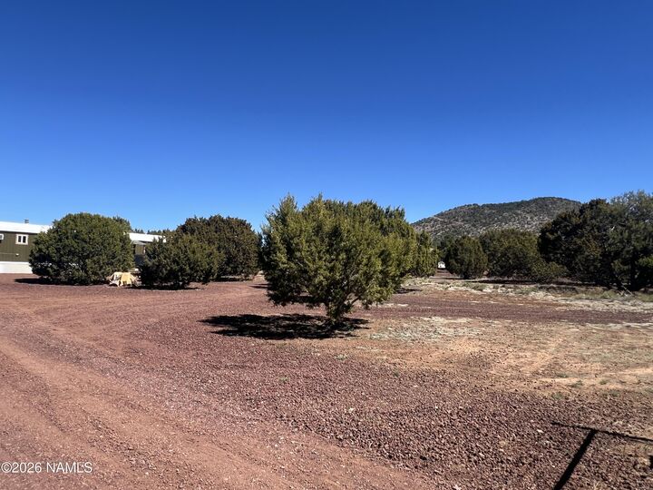 Property Photo:  327 E Greenbriar Drive  AZ 86046 