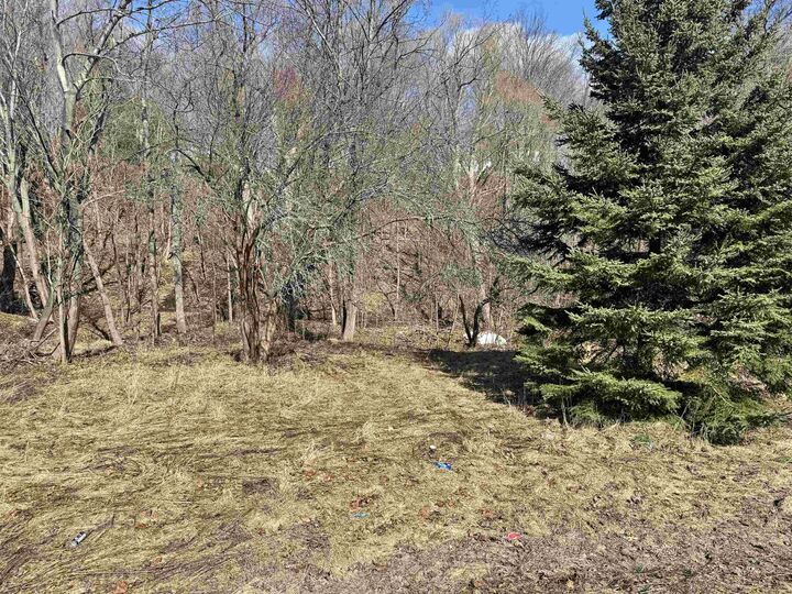 Lot Munroe Avenue — photo 1