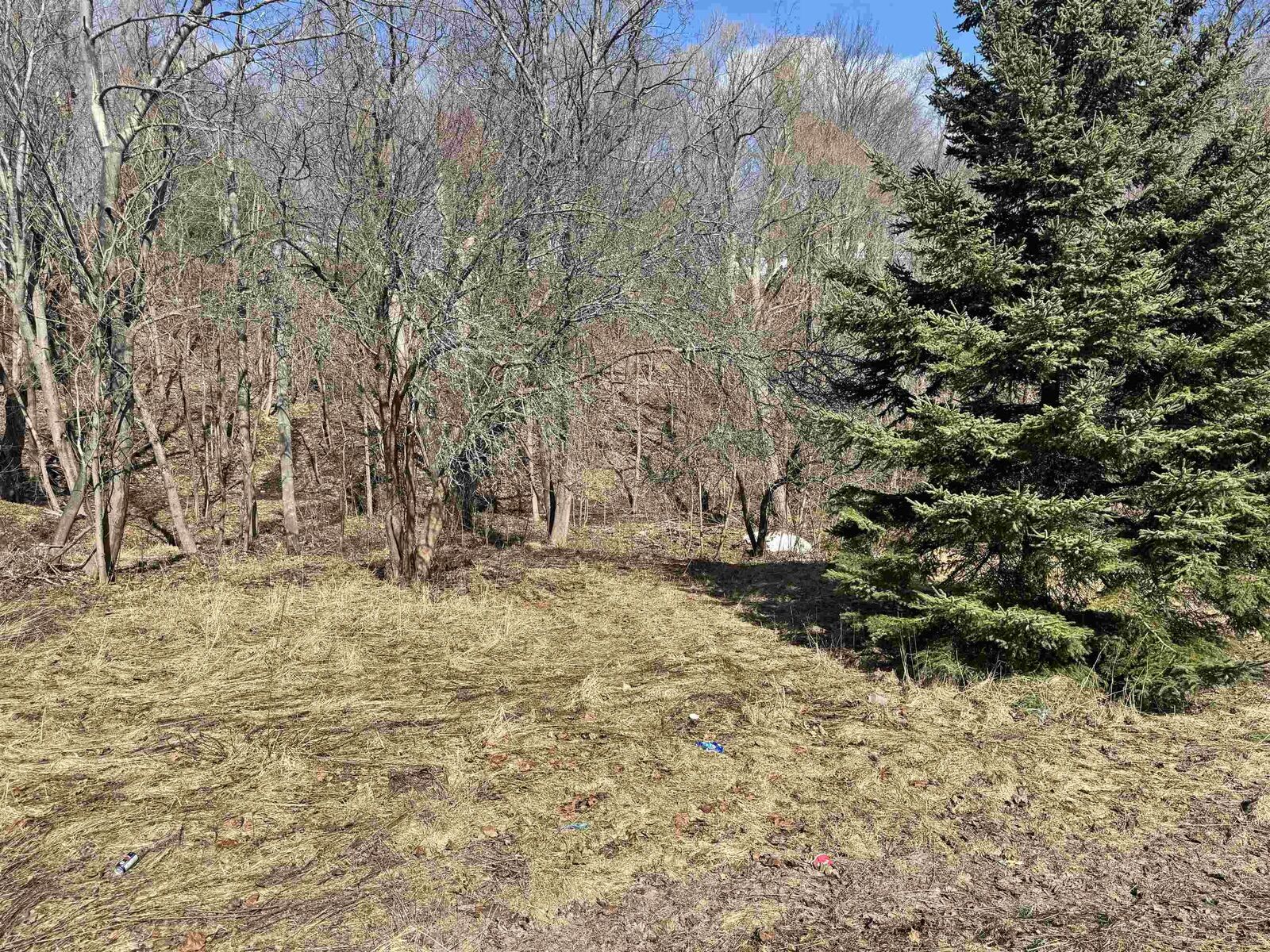 Property Photo:  Lot Munroe Avenue  NS B2H 2E4 