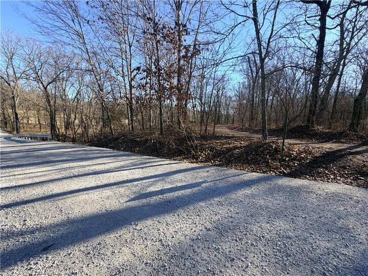 Property Photo:  36ac Hagee Road  MO 64831 