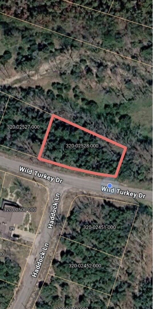 Property Photo: Tbd Wild Turkey Drive AR 72631