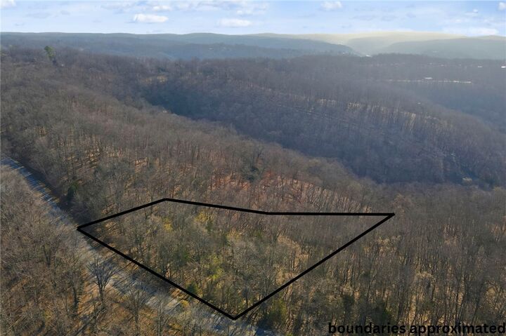 Property Photo:  Tract 4  1601 Mundell Road  AR 72631 