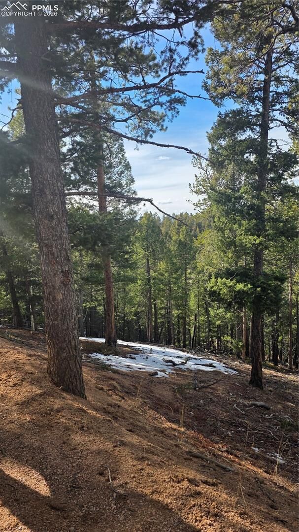 Property Photo:  307 Tillicum Trail  CO 80863 
