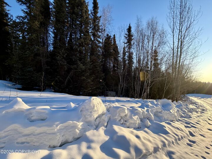 Property Photo:  32664 Strauss Court  AK 99669 