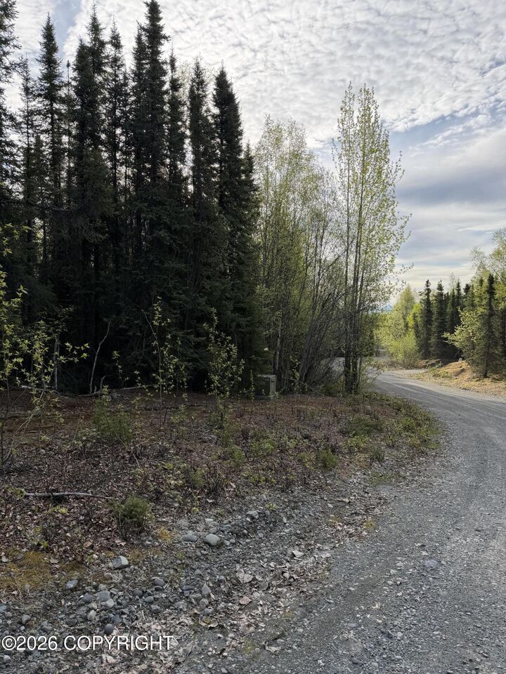 Property Photo:  32664 Strauss Court  AK 99669 